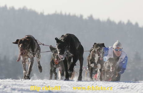 Tri studne 06 - 086.jpg